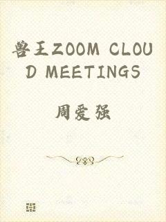 兽王ZOOM CLOUD MEETINGS